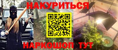 гашик Будённовск