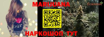 гашик Будённовск