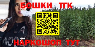 гашик Будённовск