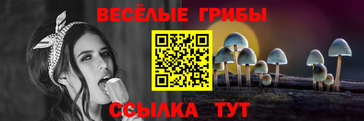 Галлюциногенные грибы прущие грибы Бирск